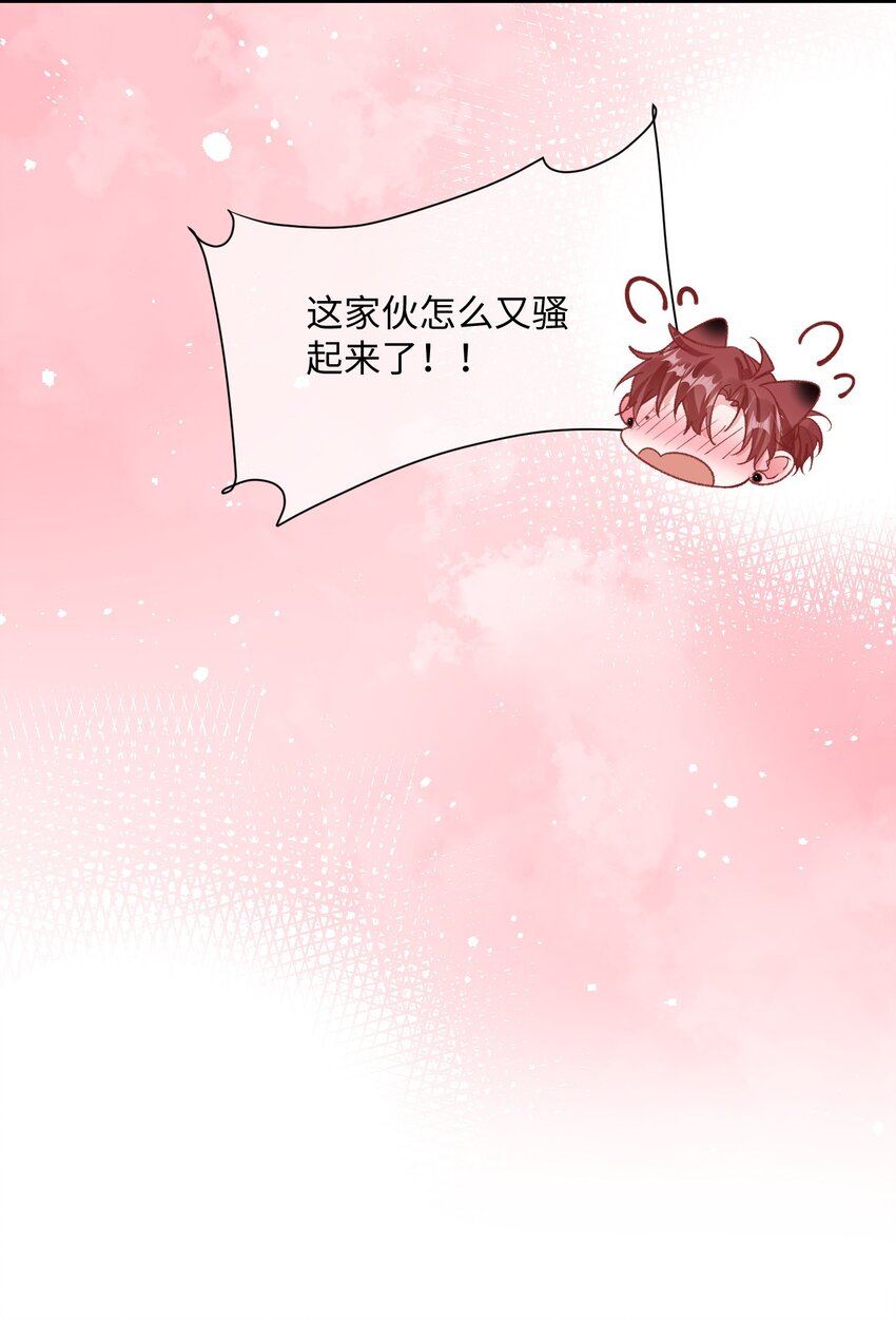 他又宠又撩楚离顾洛小说漫画,039 跟我回家？2图