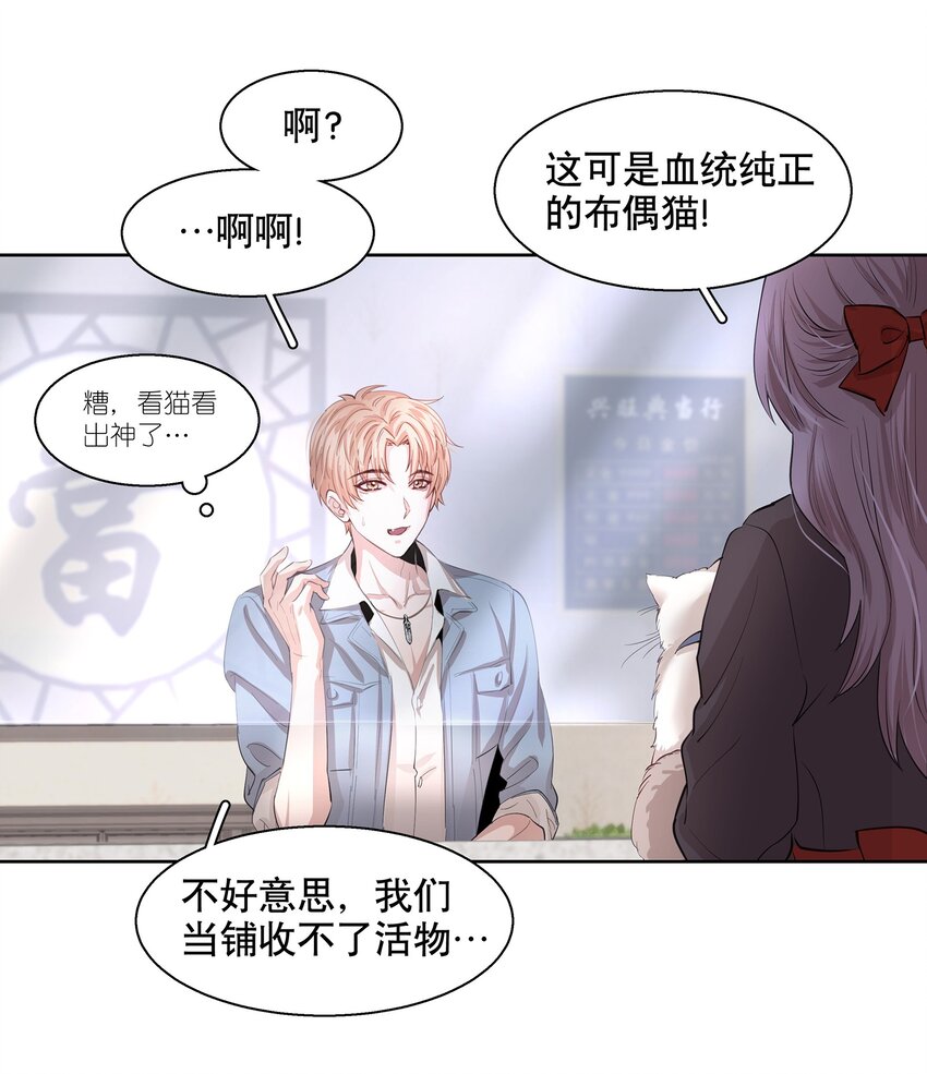 飞鸥不下小说全文未删减免费阅读漫画,第1章 我就是陆枫2图