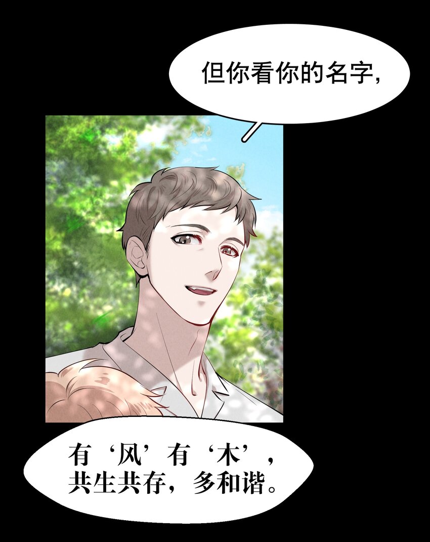 飞鸥不下漫画免费阅读漫画,第9章 有风有木2图