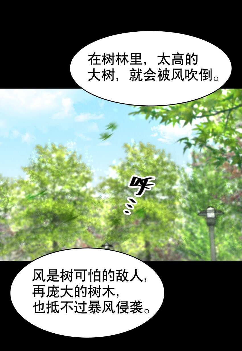 飞鸥不下漫画免费阅读漫画,第9章 有风有木1图