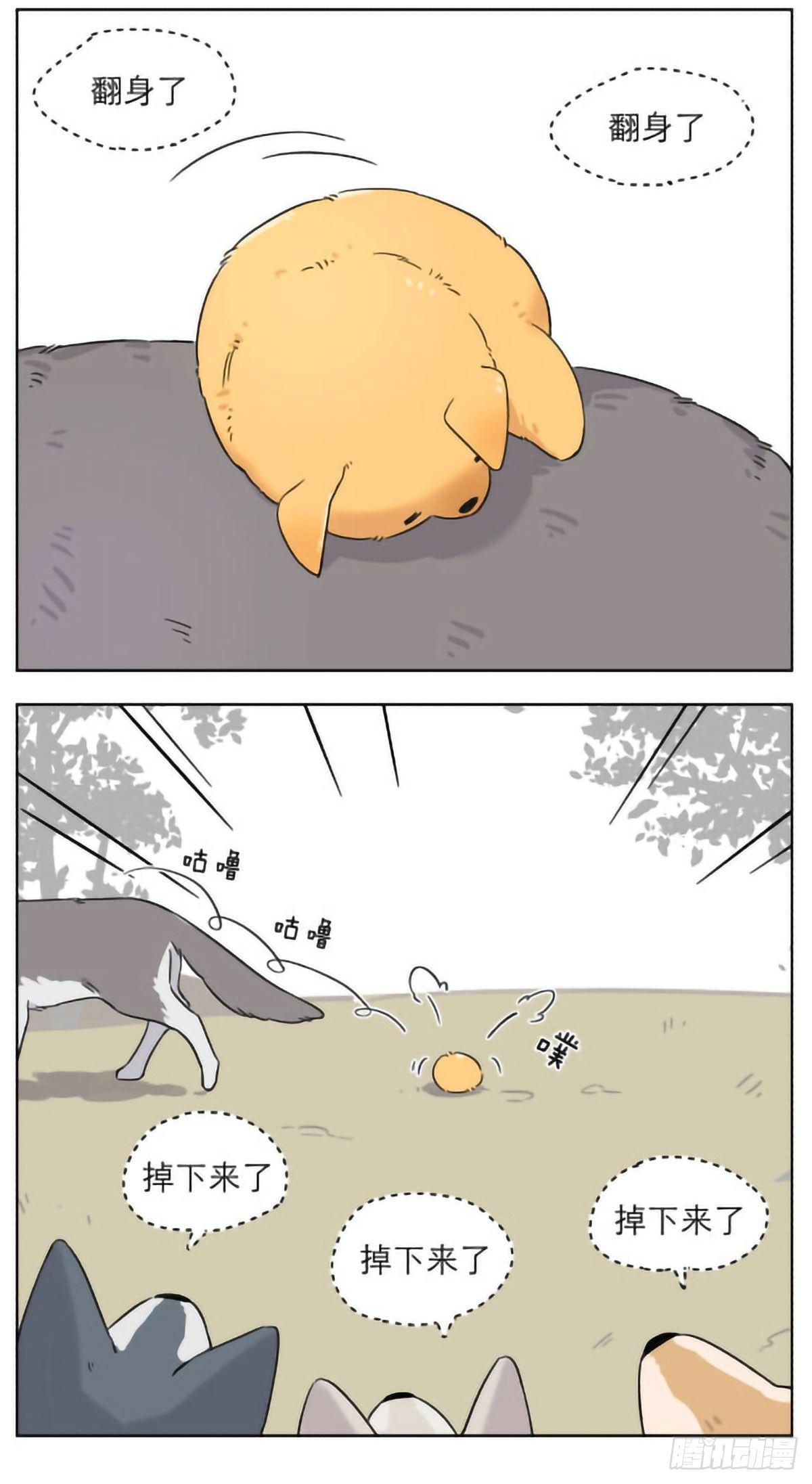 捡了东西的狼漫画,狼群里的小弟们 ​​​1图