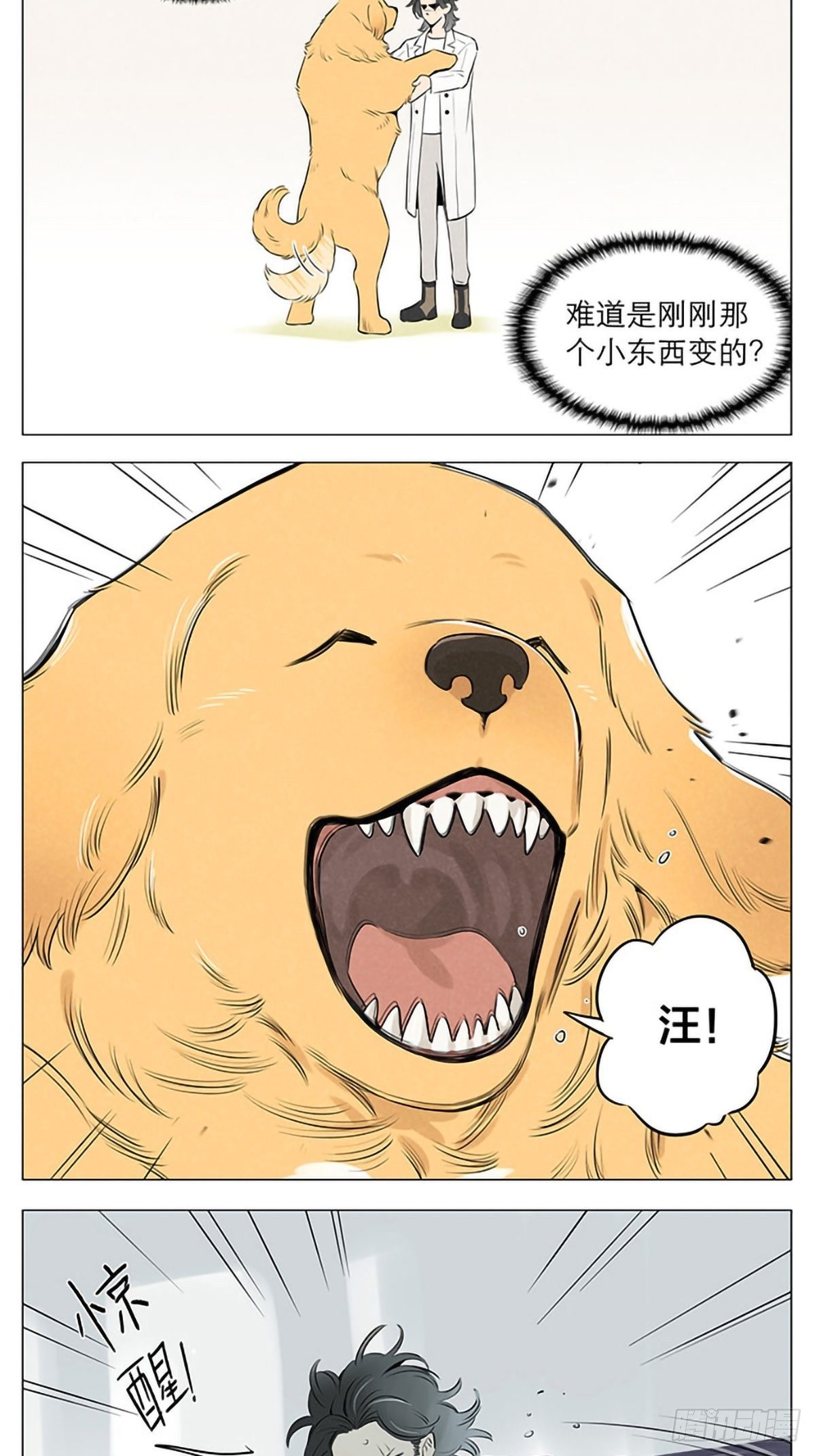 捡了东西的狼漫画在线免费阅读漫画,十年后。2图