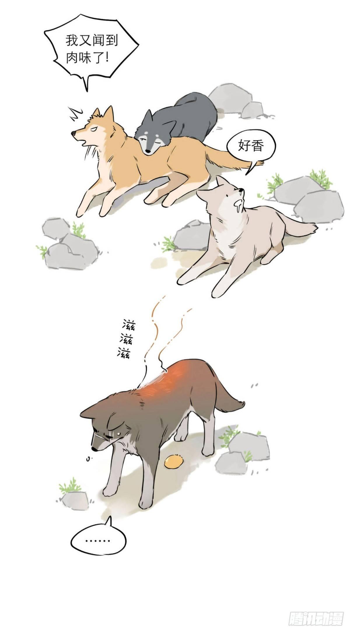 捡了东西的狼漫画,热2图
