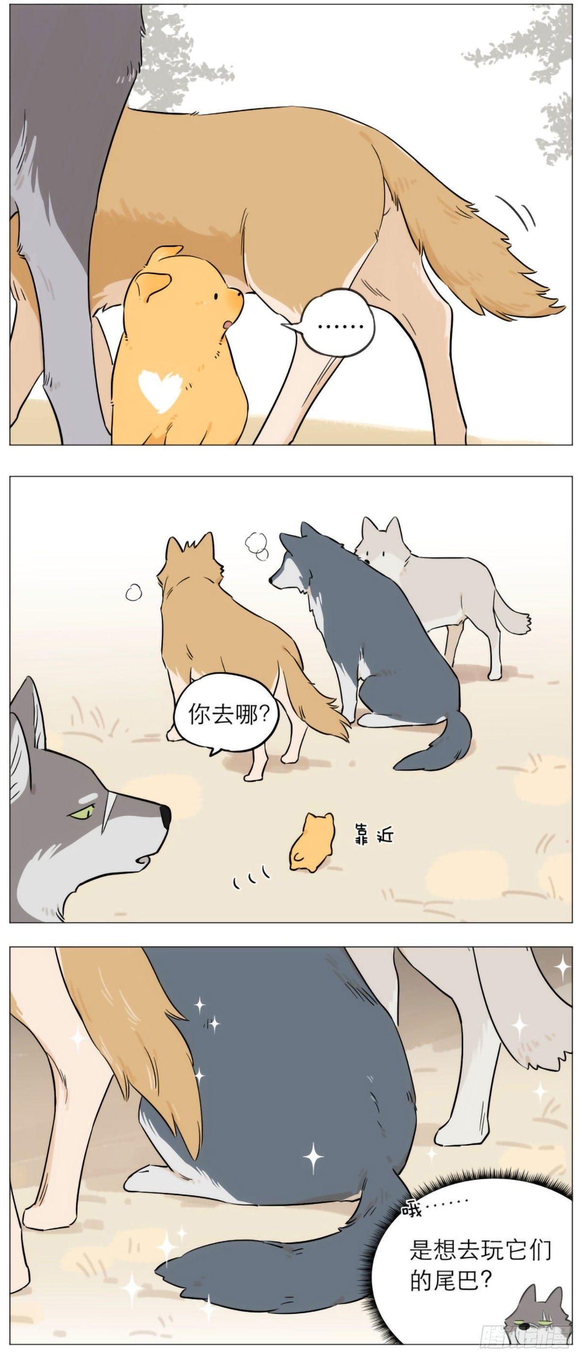 捡了东西的狼王小说漫画,狼王的尾巴2图