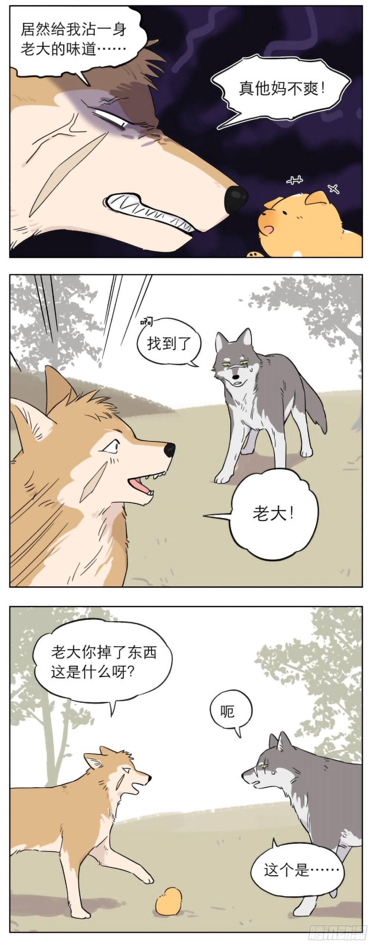 捡了东西的狼漫画,狼群里的小弟们 ​​​2图
