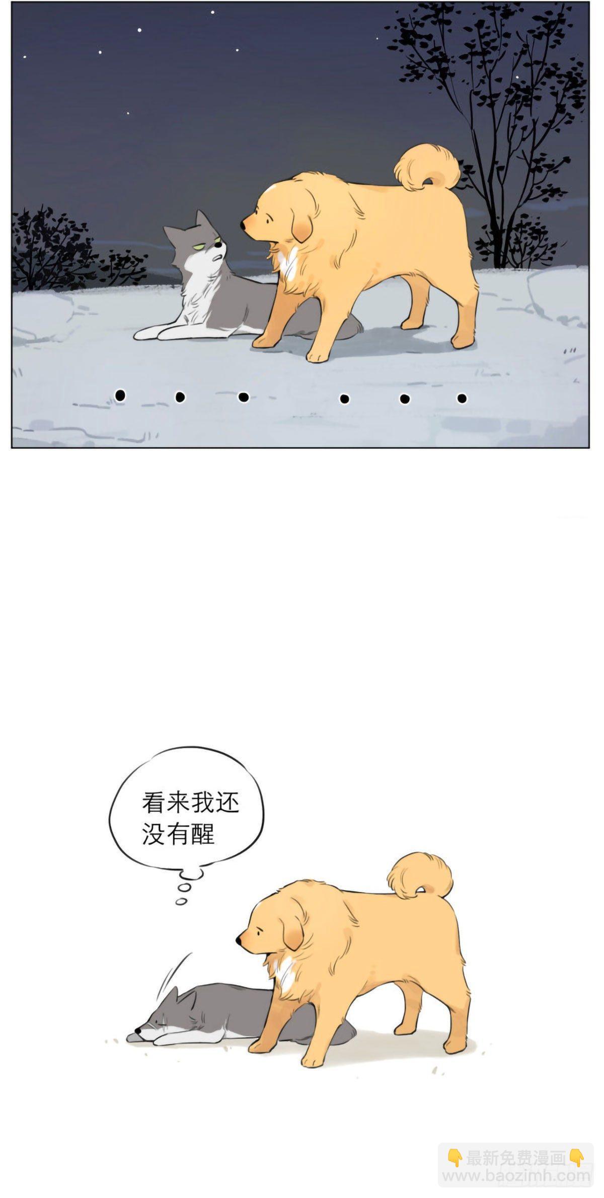 捡了东西的狼漫画,狼王的梦2图
