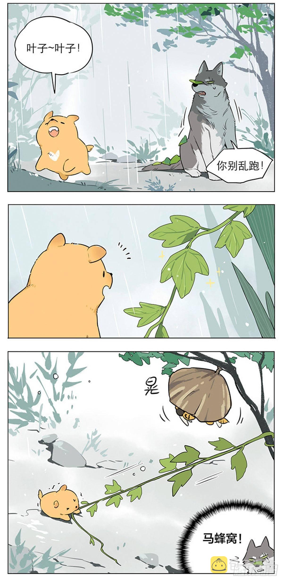 捡了东西的狼漫画,下雨天的狼王1图