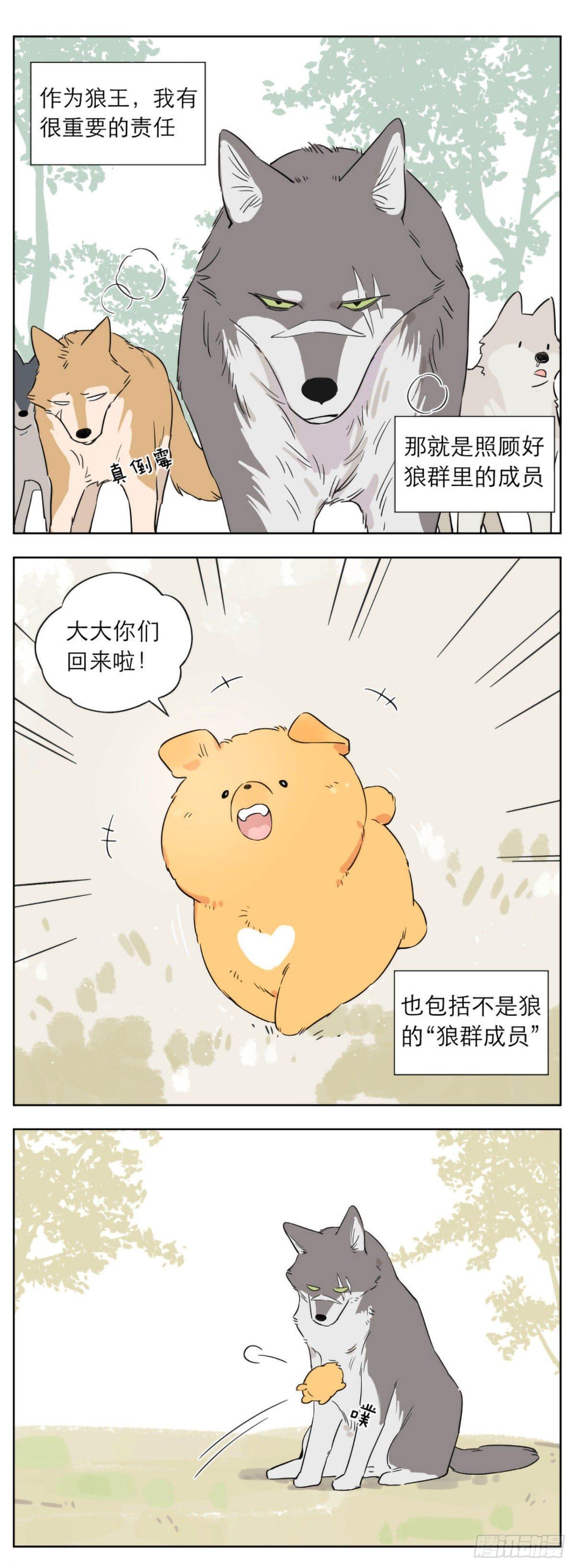 捡了东西的狼头像漫画,狼王的责任1图