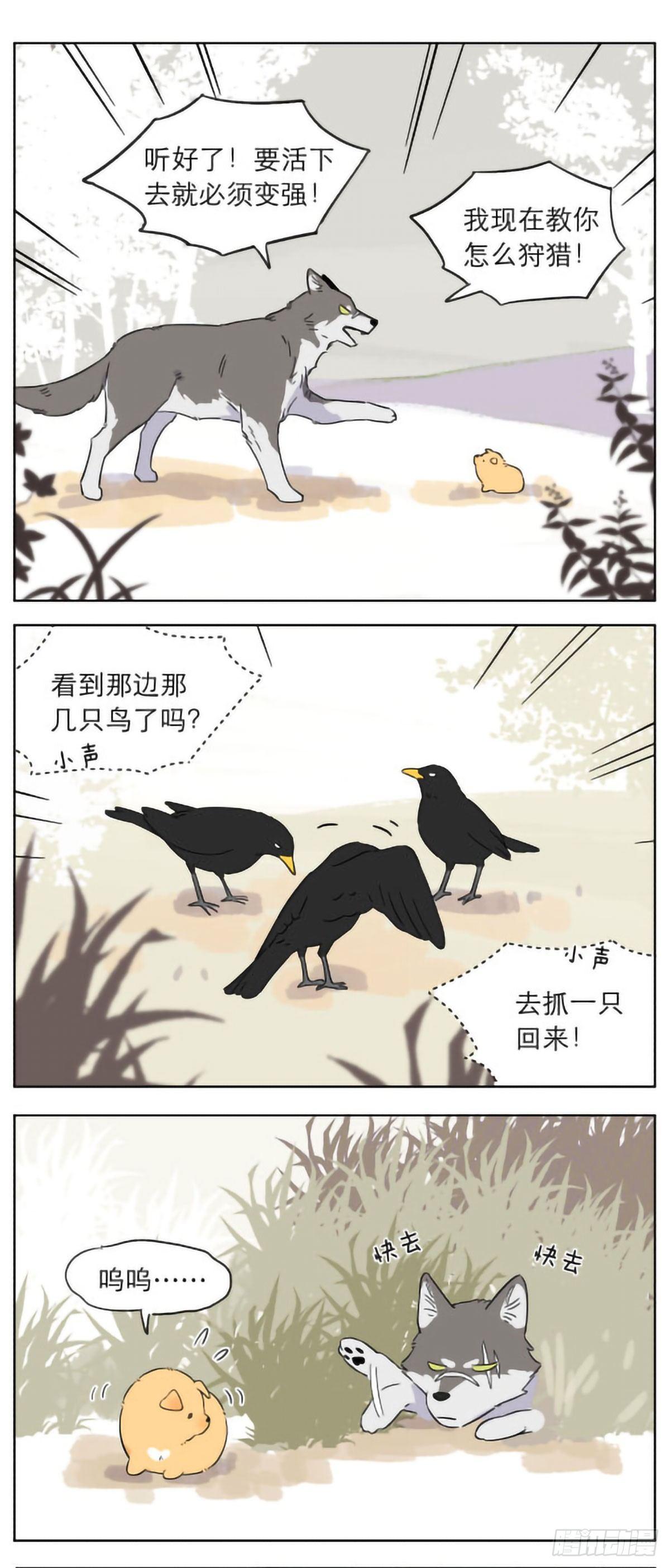 《捡了东西的狼》漫画,捡到的奶狗有点烦1图