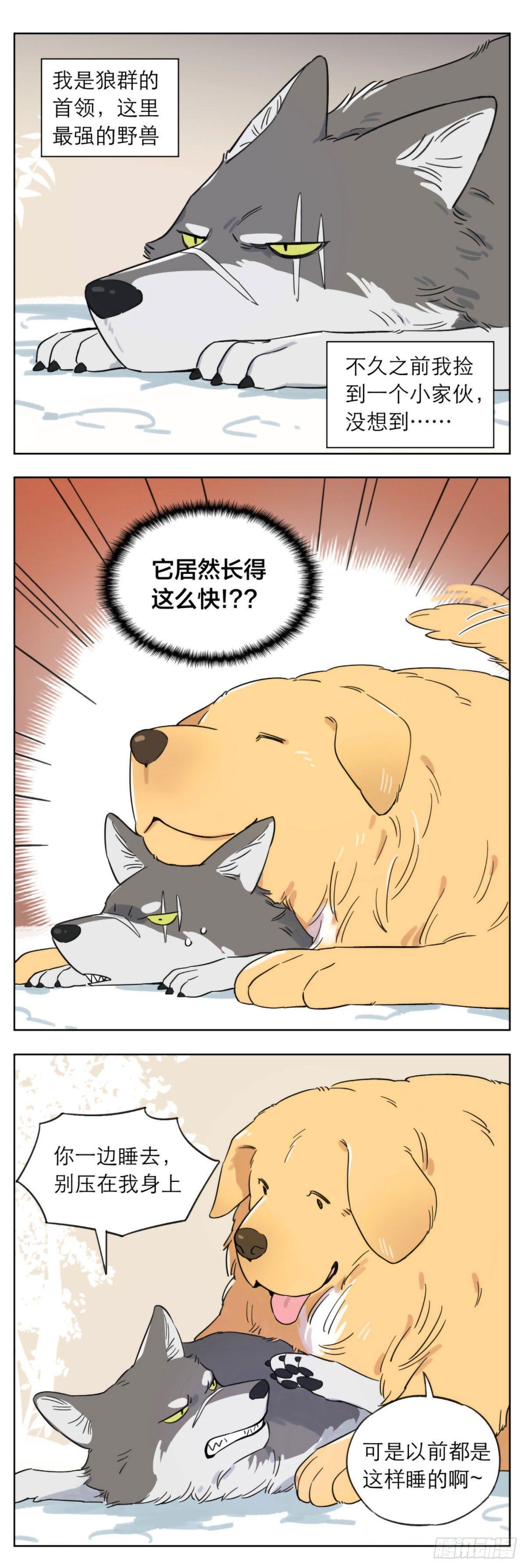 捡了东西的狼有小说吗漫画,相遇后的第一个冬天1图