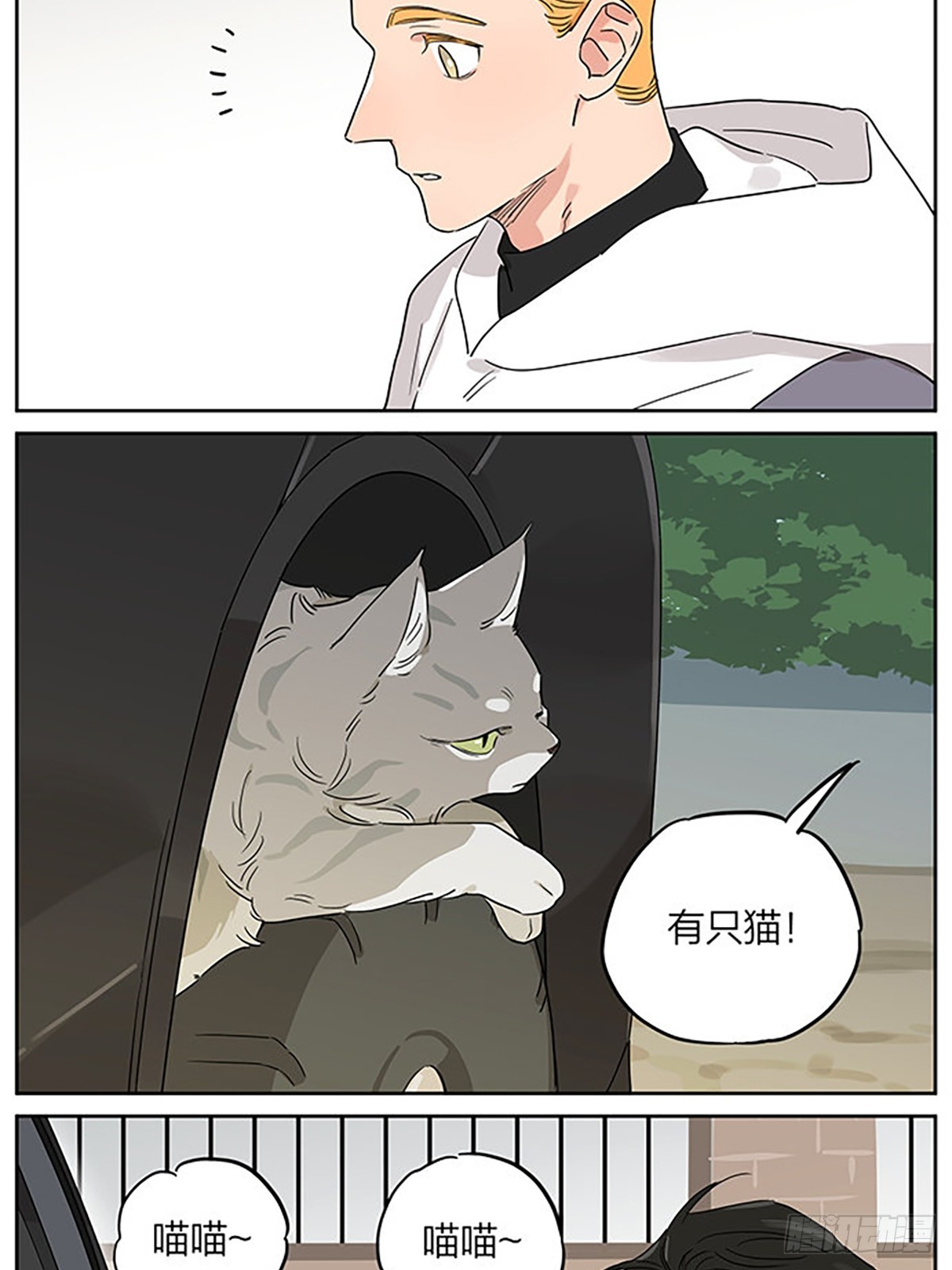 捡了东西的狼在线观看漫画,撸猫2图