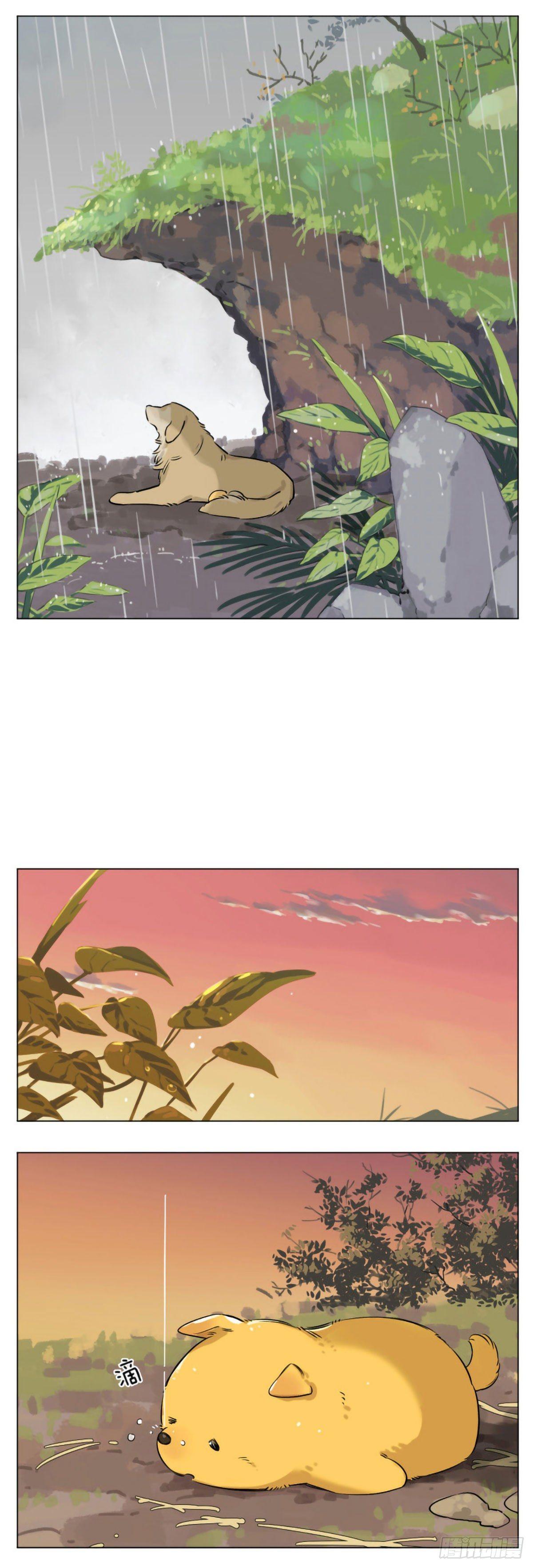 捡了东西的狼漫画,过去的事1图