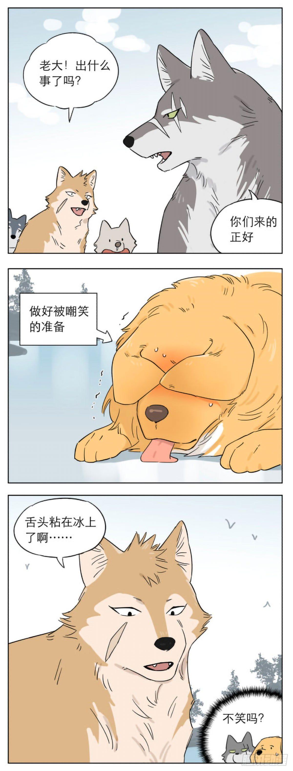 捡了东西的狼漫画,发生在冬天里的另一件事2图