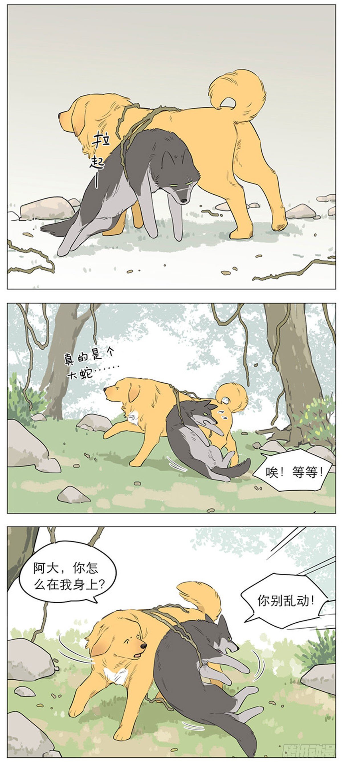 捡了东西的狼微博超话漫画,狼王的新称呼2图