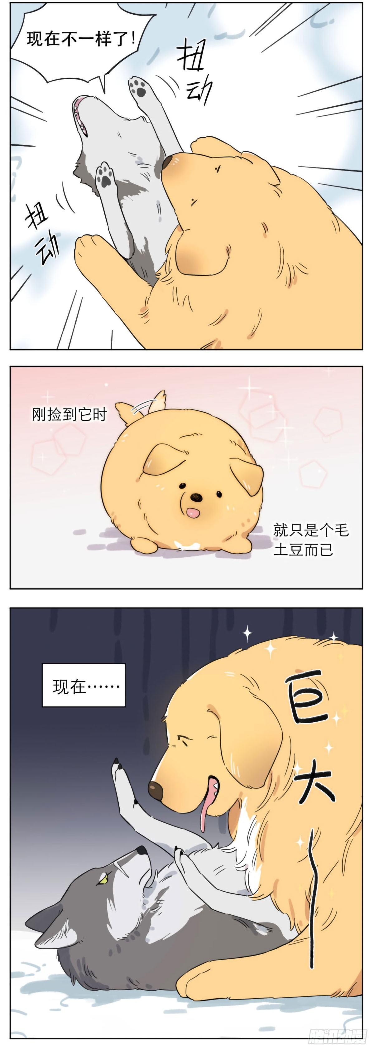 捡了东西的狼有小说吗漫画,相遇后的第一个冬天2图