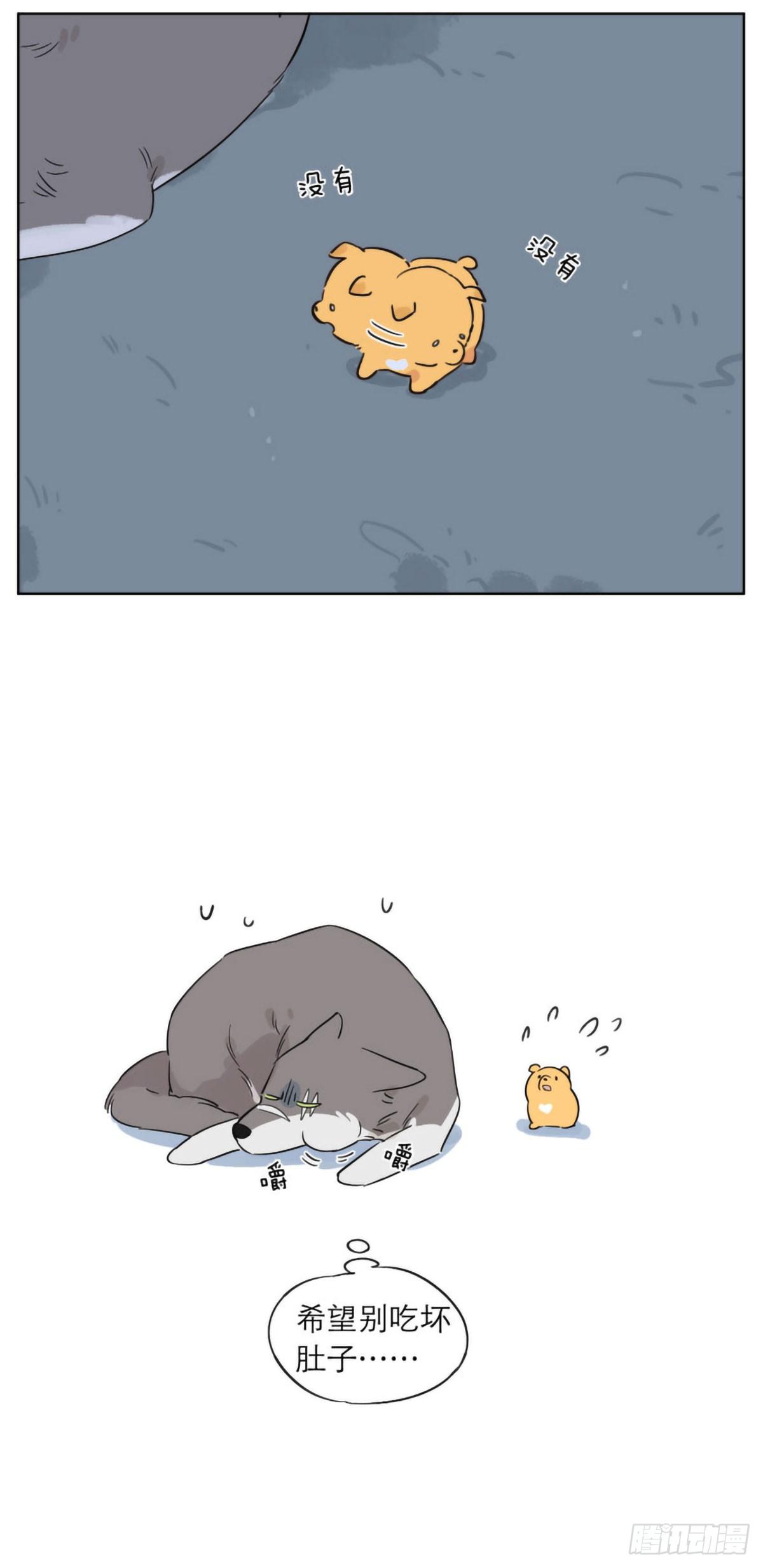 捡了东西的狼漫画,狼王的责任2图