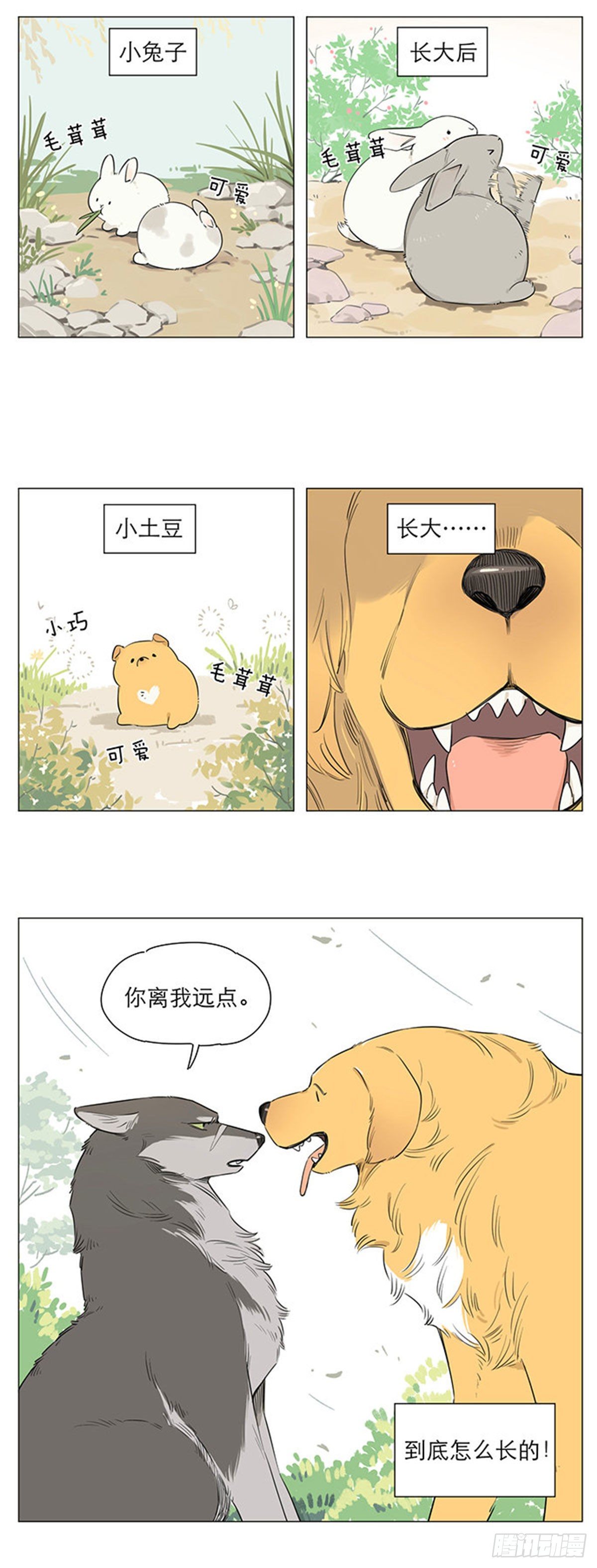 捡了东西的狼漫画,狼王的新称呼2图