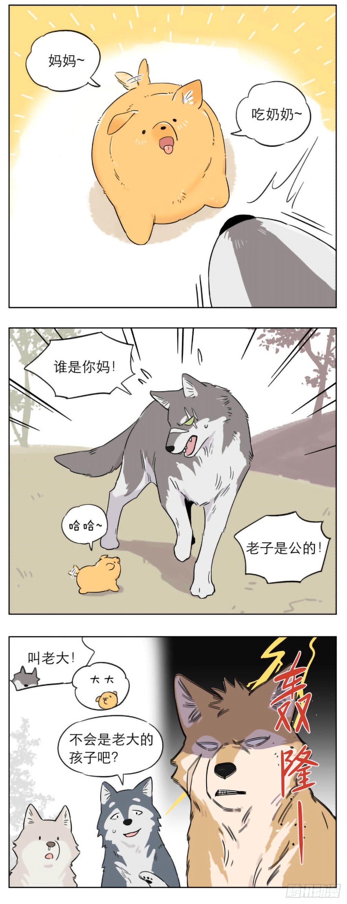捡了东西的狼漫画,狼群里的小弟们 ​​​1图