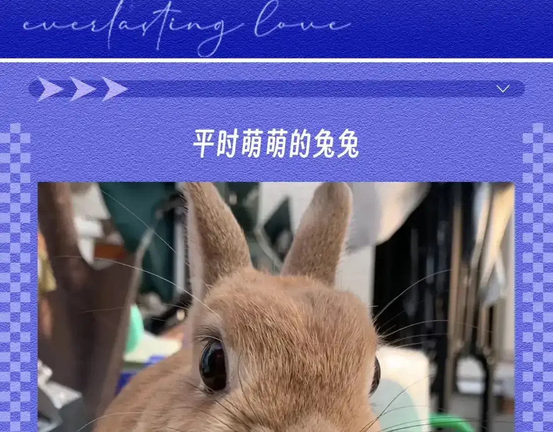 垂耳执事小说笔趣阁漫画,第45期 整活企划：原来垂耳执事很写实！2图
