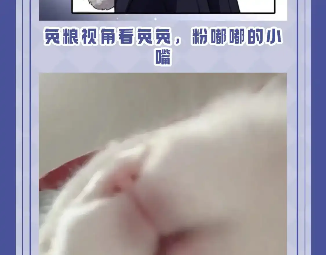 垂耳执事小说笔趣阁漫画,第53期 搞点事：陆上锦！放下那个小兔子让我来！2图
