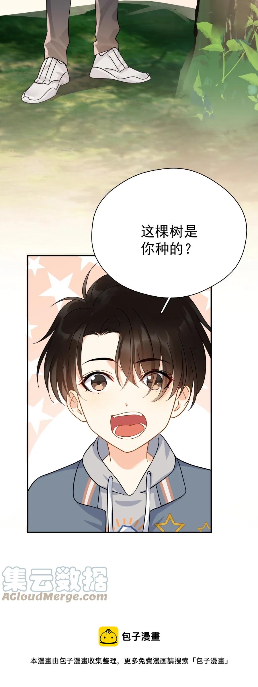 追尾 交警扣车 营运损失漫画,023 爱摆臭脸的小屁孩1图