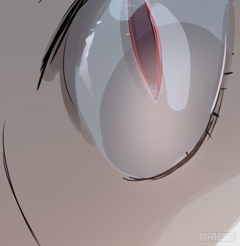敖敖待捕漫画,第128话 玄月打人2图