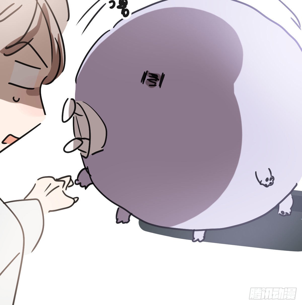 敖敖待捕漫画,第194话 以退为进1图