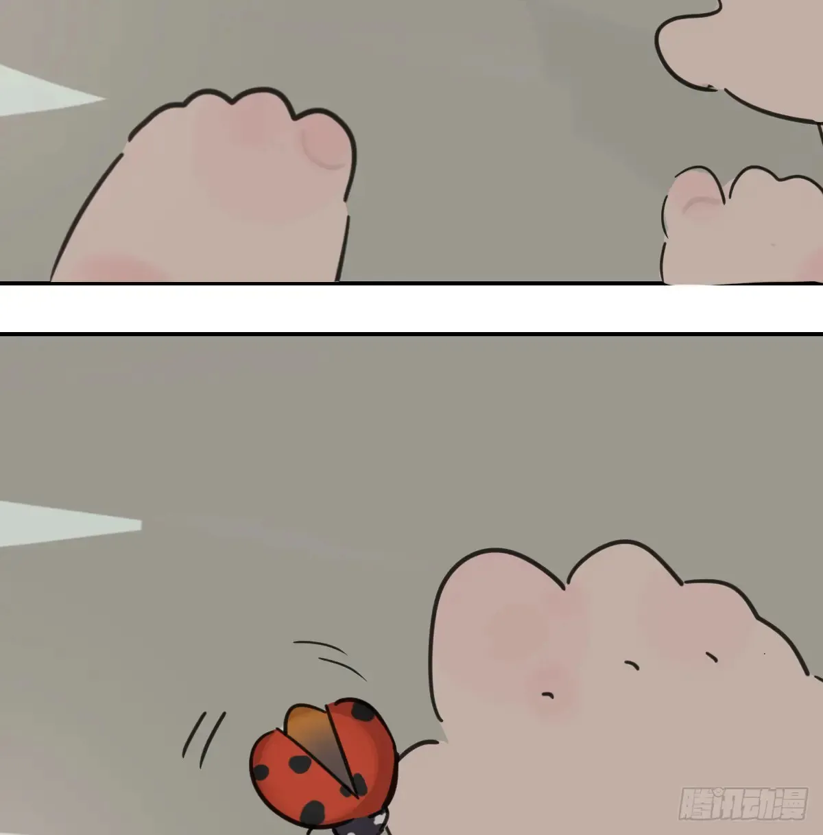 敖敖待捕漫画,后篇12 偷藏2图