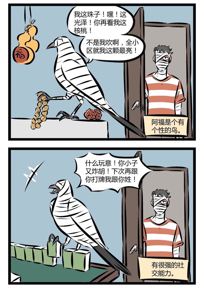 1031万圣街漫画微博漫画,【第20话】 阿布仍未知道那年在花坛边捡到的鸟的品种……其实是喜鹊呦~2图