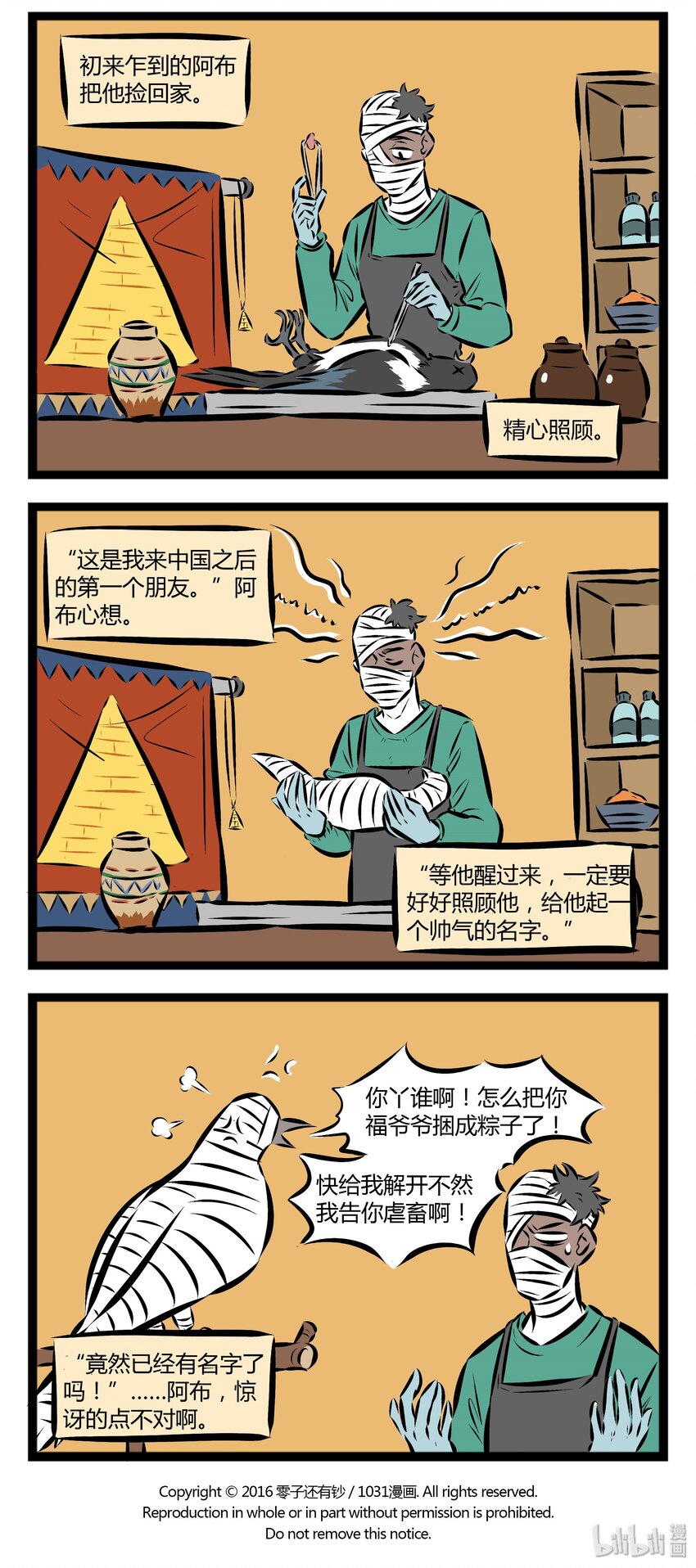 1031万圣街漫画微博漫画,【第20话】 阿布仍未知道那年在花坛边捡到的鸟的品种……其实是喜鹊呦~2图
