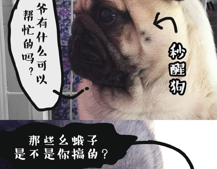 吾皇巴扎黑图片漫画,第26话 犯错你会卖萌求原谅吗1图