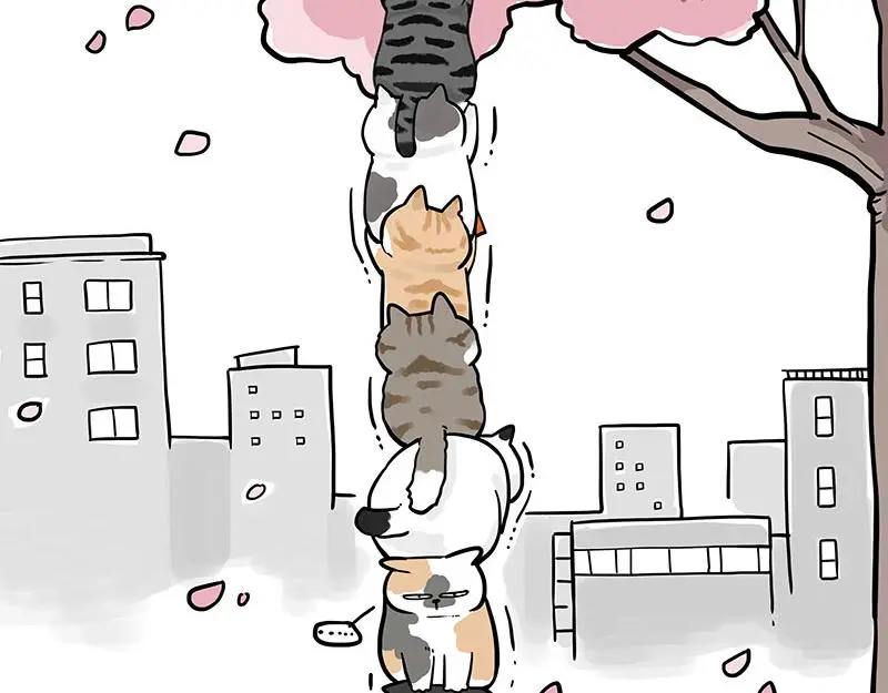 吾皇巴扎黑牛能漫画,第323话 春日恋情？！2图