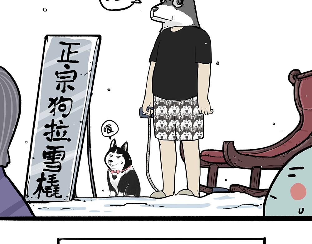 吾皇巴扎黑漫画,第321话 贵在坚持1图