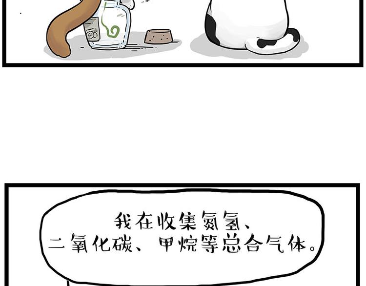 吾皇巴扎黑漫画,第239话 “屁”的战争2图