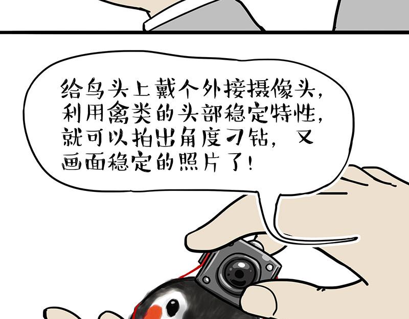 吾皇巴扎黑漫画,第309话 不妙小喵招2图