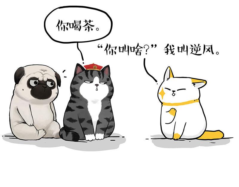 吾皇巴扎黑漫画,第353话 逆向思维1图