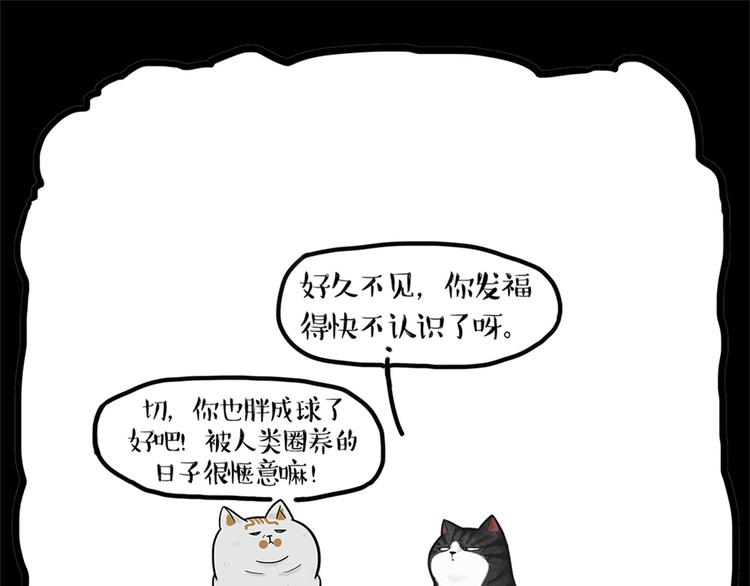 吾皇巴扎黑漫画,第58话 流浪生活1图