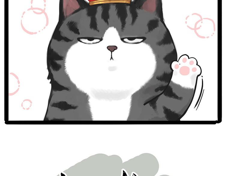 吾皇巴扎黑漫画,第232话 我退出这个家2图