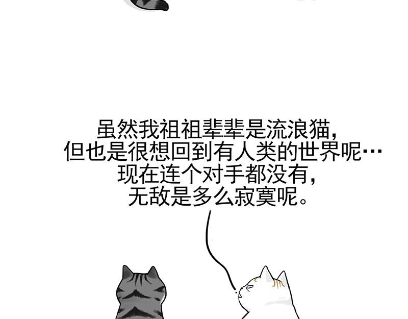 吾皇巴扎黑漫画,第322话 吾皇的孙子1图