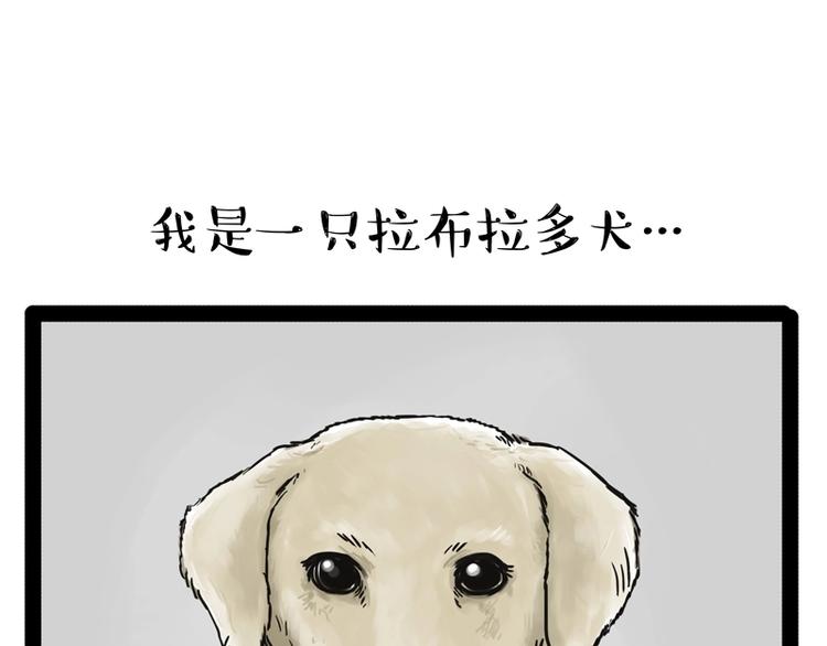 吾皇巴扎黑超话漫画,第198话 你爱世界，但我爱你1图