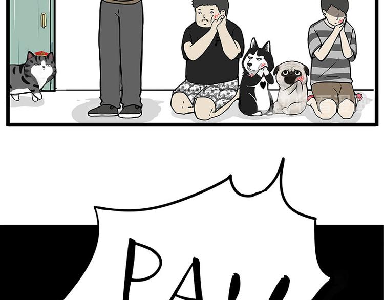 吾皇巴扎黑漫画,第235话 是亲生的没错吧？2图