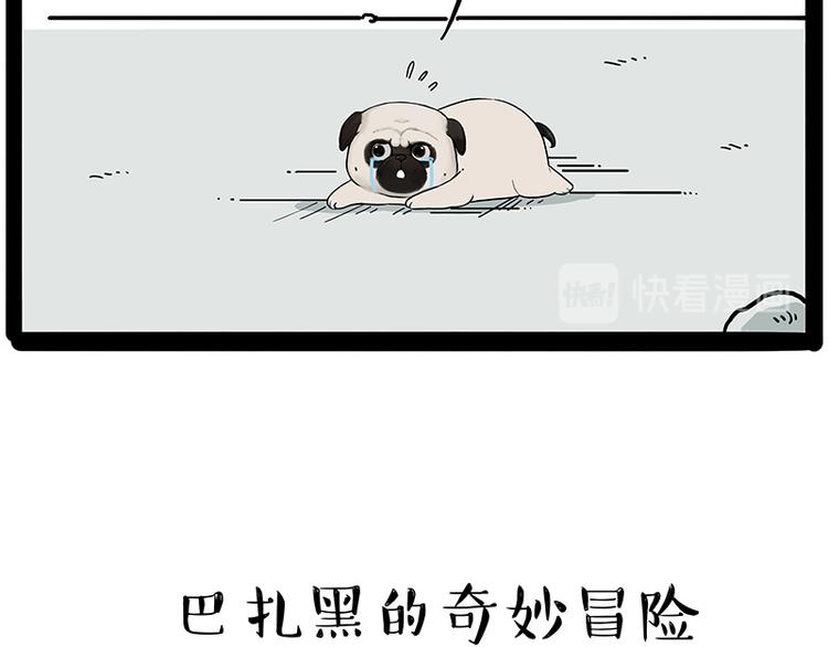 吾皇巴扎黑漫画,第207话 巴扎黑丢了？！2图