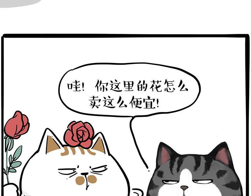 吾皇巴扎黑高清壁纸漫画,第366话 情人节，略过1图