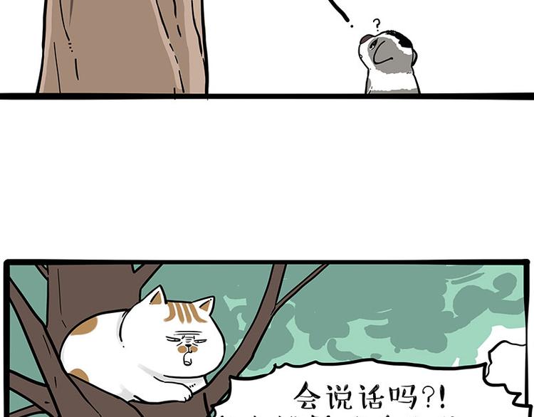 吾皇巴扎黑漫画,第270话 胖老猫你个大骗子！1图