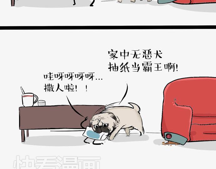吾皇巴扎黑漫画,第29话 就算高考也要铲屎2图