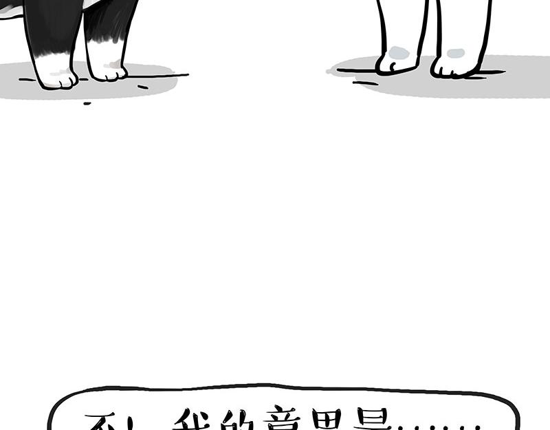 吾皇巴扎黑漫画,第349话 养只猫吧1图