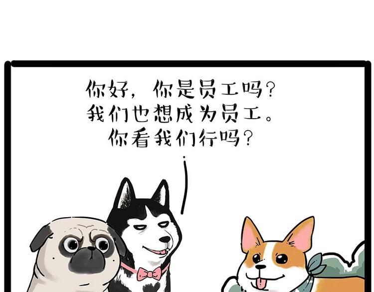 吾皇巴扎黑漫画,第194话 生活不易，猫狗打工2图