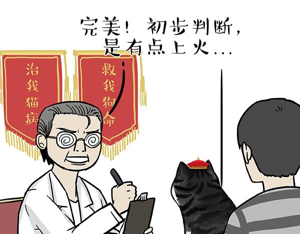 吾皇巴扎黑漫画,第78话 带宠物看病（上）2图