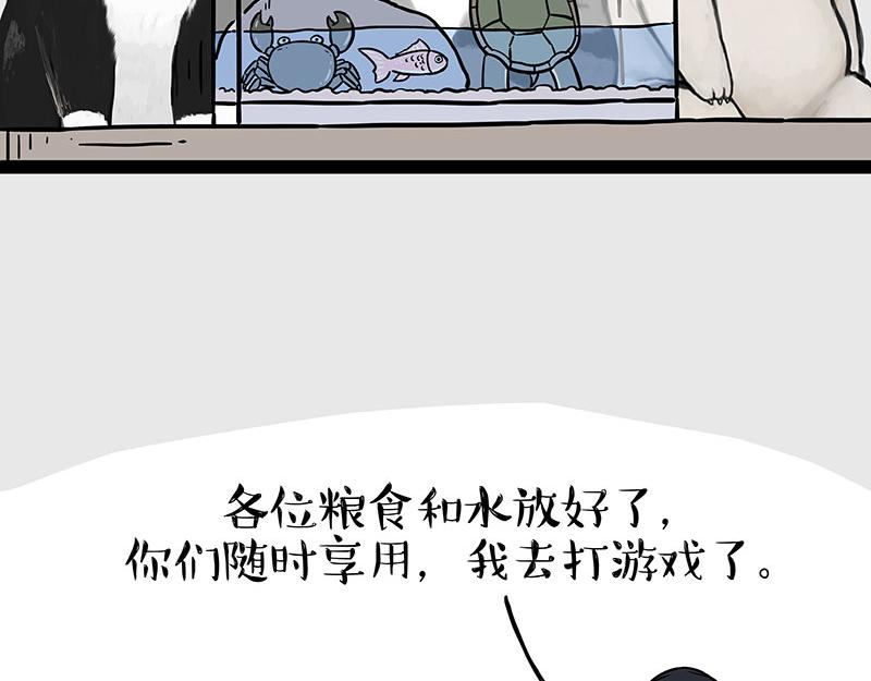 吾皇巴扎黑漫画,第298话 龟与狗与世界1图