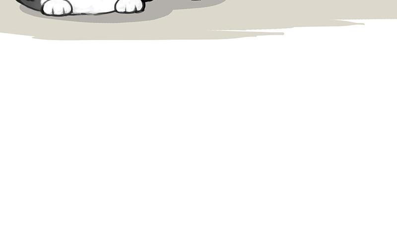 吾皇巴扎黑漫画,第369话 老天爷的答案1图